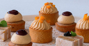 PLATEAUX DE LA TERRE