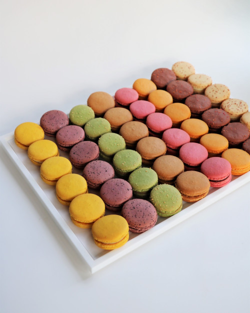 ASSORTIMENT DE 48 MACARONS