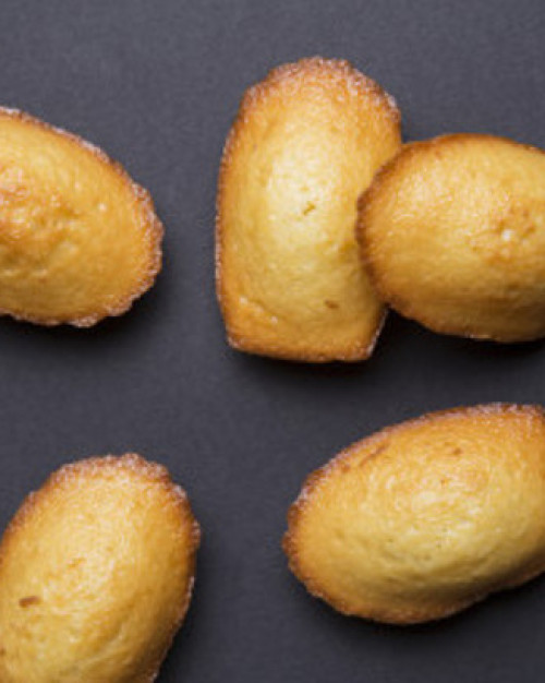 PLATEAU DE 24 MADELEINES FOURREES CHOCOLAT