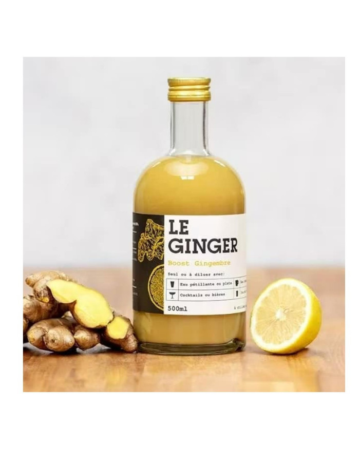 LE GINGER BOOST 500 ML GOPY