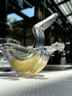 PRESSE CITRON - PAUL BOCUSE
