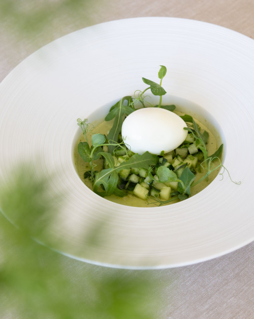 PANNA COTTA DE PETITS POIS À LA MENTHE, ŒUF MOLLET