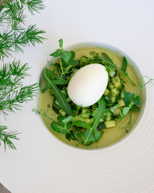PANNA COTTA DE PETITS POIS À LA MENTHE, ŒUF MOLLET
