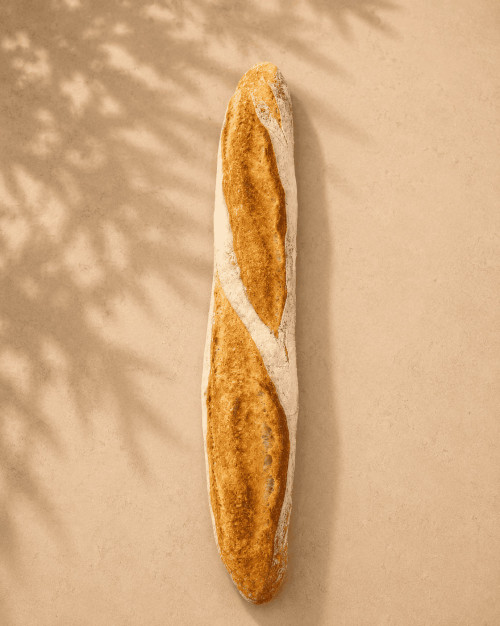 BAGUETTE C GASTRONOMIE 