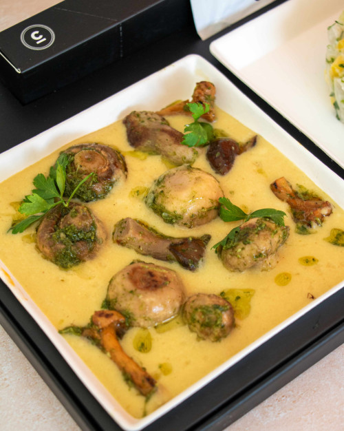 PLATEAU VEGAN
